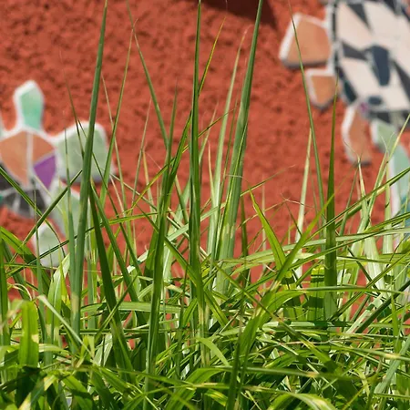 Appartement Das Wuensch Ich Mir *