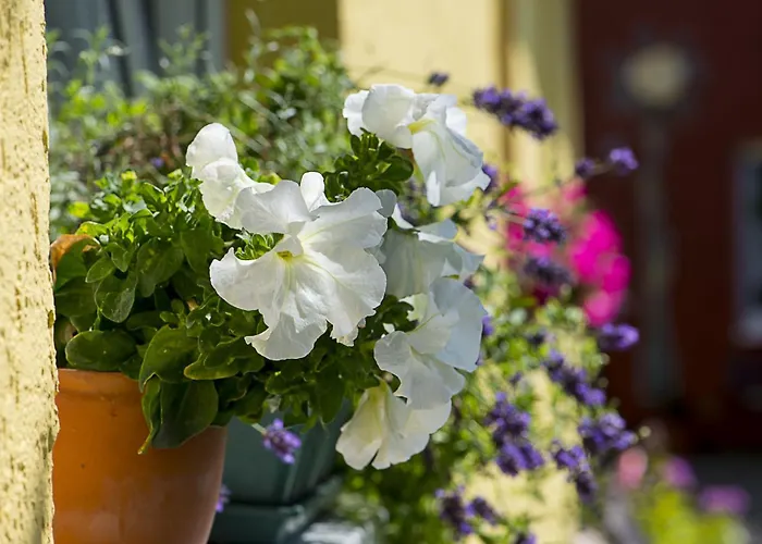 Das Wuensch Ich Mir Апартаменты Кюлунгсборн